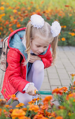 little schoolgirl  examines  flowers on flowerbed through  magnifying glass