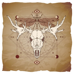 Vector illustration with hand drawn moose skull, dragonfly and Sacred geometric symbol on vintage paper background with torn edges.