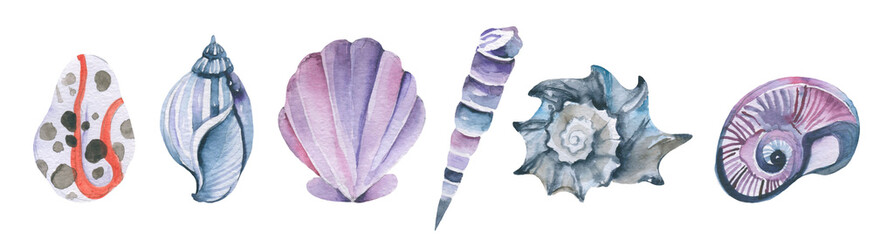 Watercolor Shell Set Collection of Underwater and sea tropical seashells