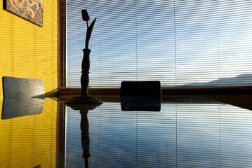 backlit silhouettes of a vase with tulip in front of a window with Venetian curtain