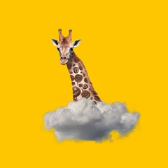 Poster Contemporary art collage of supernatural giraffe head with pumpkins instead spots appearing from cloud © Lustre