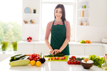 Photo of charming happy nice young woman cut cucumber vegetable salad smile indoors inside house home kitchen
