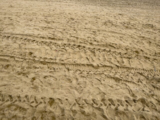 tracks on sand