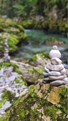 stones in the forest
