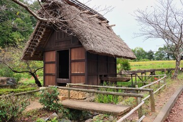 茅葺屋根の小さな水車小屋と田んぼ