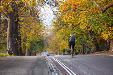 Unidentified cyclists riding on Greenwich hill in London during autumn season