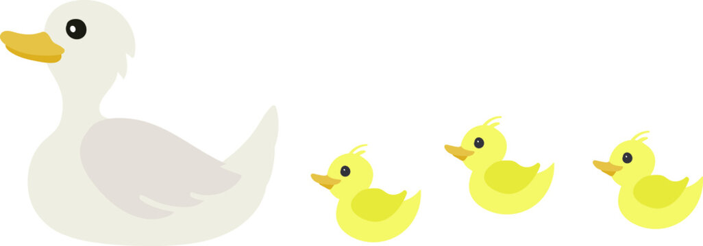 Cute ducklings following mama duck vector illustration isolated