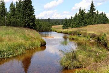 Jizera stream in the Jizera Mountains, mountain stream