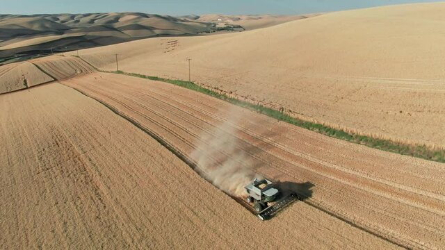 Aerial: Wheat combine harvester on wheat field, Waitsburg, Washington, USA