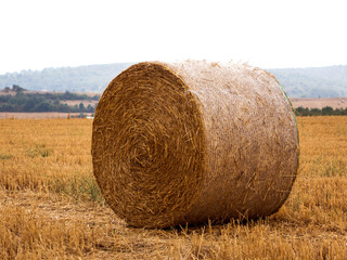 straw roles after harvest in Bulgaria_6