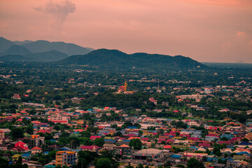 Natural background with various species of trees, green leaves, the beauty of the ecosystem