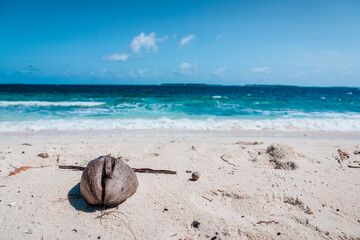 Fototapeta na wymiar Coconut on a sandy beach in Maldives, with sea in the background