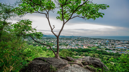 Natural background, wide angle of sky and clear air, overlooking mountains, green trees surrounding it, with cool blurry winds throughout the journey.