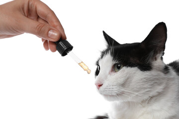 Woman giving tincture to cat on white background, closeup
