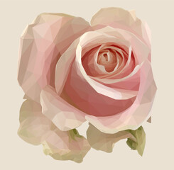 Low poly, geometrical, illustration of a peach rose isolated on a light pink peach background