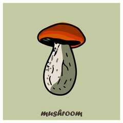 Isolated card with colorful autumn mushrooms, honey agarics, russula, boletus. Preschool cards. Set of autumn social media stories. Autumn stickers. Bright postcards. Vector eps 10