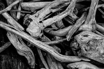 Abstract Driftwood 