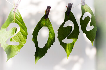 green leaves with number of new year 2022 on a white background