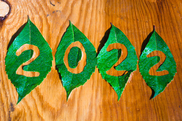 new year 2022 numbers  with green leaves on wooden background