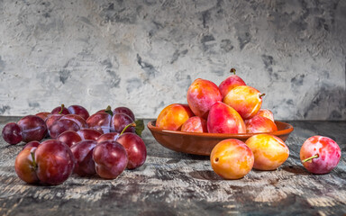 Summer harvest of plums Red and honey plums on gray table.