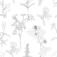Flower vector seamless pattern on white background.