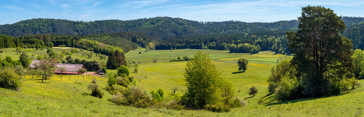 Fototapeta na wymiar Idyllische ländliche Hügellandschaft mit Bauernhof, Wiesen und Wäldern - Panorama im Frühsommer 