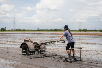 A farmer woman plows a field using a tractor to prepare to sow rice in Ayutthaya, Thailand.