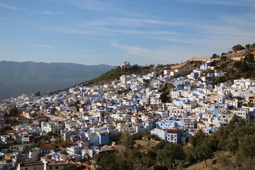 Dense little blue houses that look like miniatures in Chefchaouen, Morocco