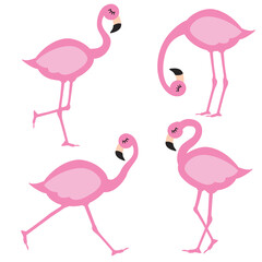 Cute Pink Summer Flamingo Elements