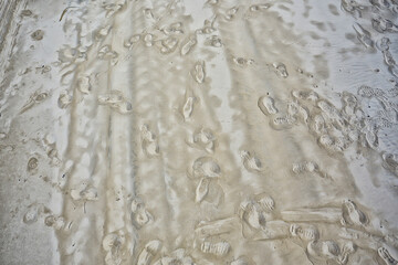 footprints in the sand dog abstract background texture beach