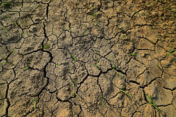 texture desert drought background abstract earth cracked warming global