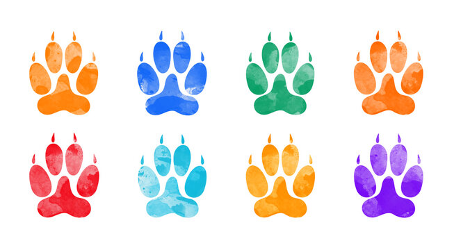 Hand drawn water color animal footprints. silhouette of a paw print. Vector Illustration.	