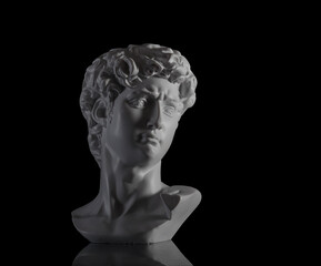 Subject photography. The head of the ancient David
