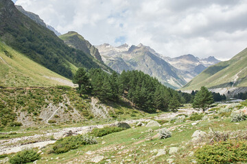 landscape in the mountains