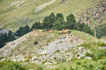 landscape with mountains