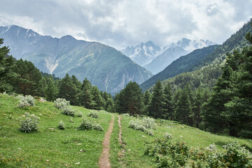 landscape in the mountains