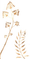 watercolor botanical postcard. Hand-drawn brown meadow grasses and flowers on a white background