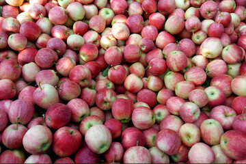 Red apples