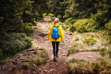 Solo hiker walking on trekking trail in forest. Woman with yellow jacket and backpack hiking in...