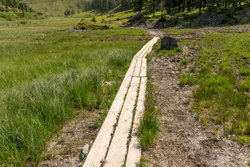 Obraz premium Small wooden boardwalk through the moorland