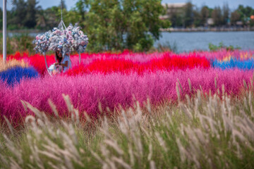 The background of modern design chairs is reflected on the cement floor, placed for viewing the scenery on the building or various attractions.