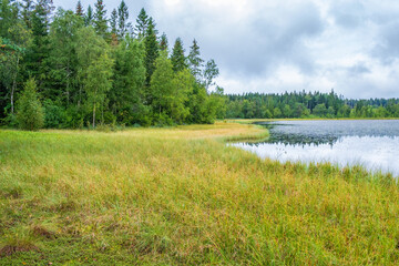 Bog by a lake in the woodland © Lars Johansson