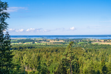 Fototapeta na wymiar Awesome landscape view at a forest and the horizon
