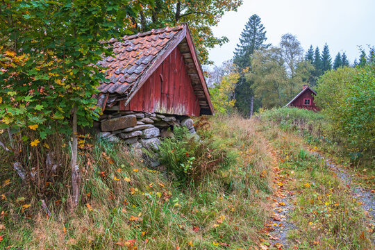 Dirt road with a old root cellar in autumn