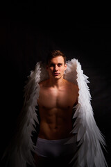 Handsome young athletic man with a bare torso who looks like an angel with white wings. Model...