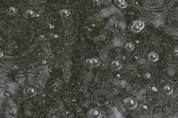 background puddle rain / circles and drops in a puddle, texture with bubbles in the water, autumn rain