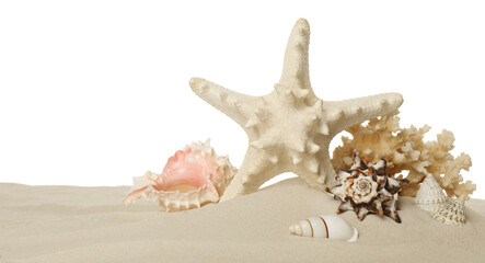 Beautiful starfish, coral and sea shells in sand on white background