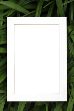 empty white wooden frame on green grass background