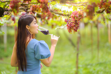 Beautiful women attractive stylish long hair drinking glass of red wine in vineyard her vacation.