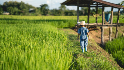 An Asian girl in a farmer's hat is walking through the fields. on a warm light day organic farming concept living with nature